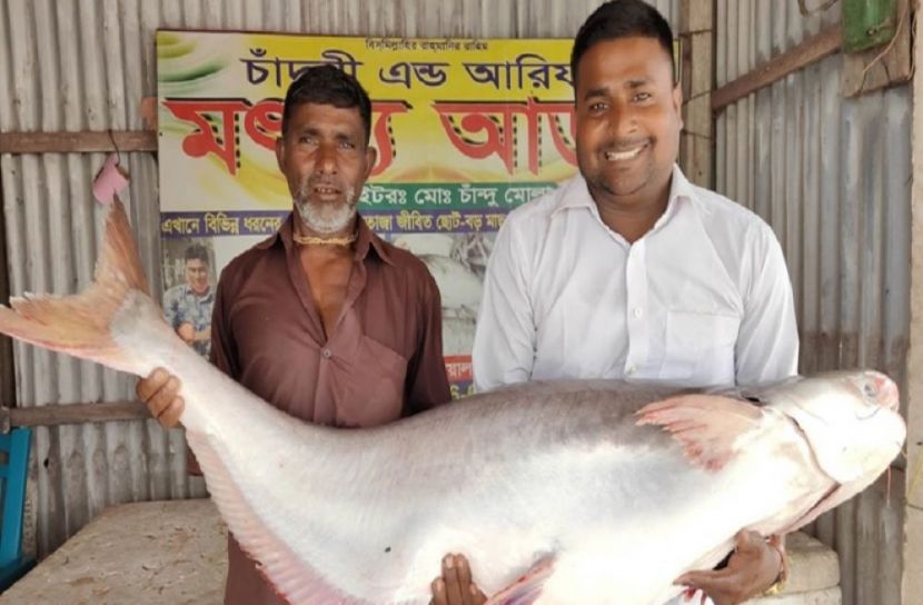 ছবি-সংগৃহীত