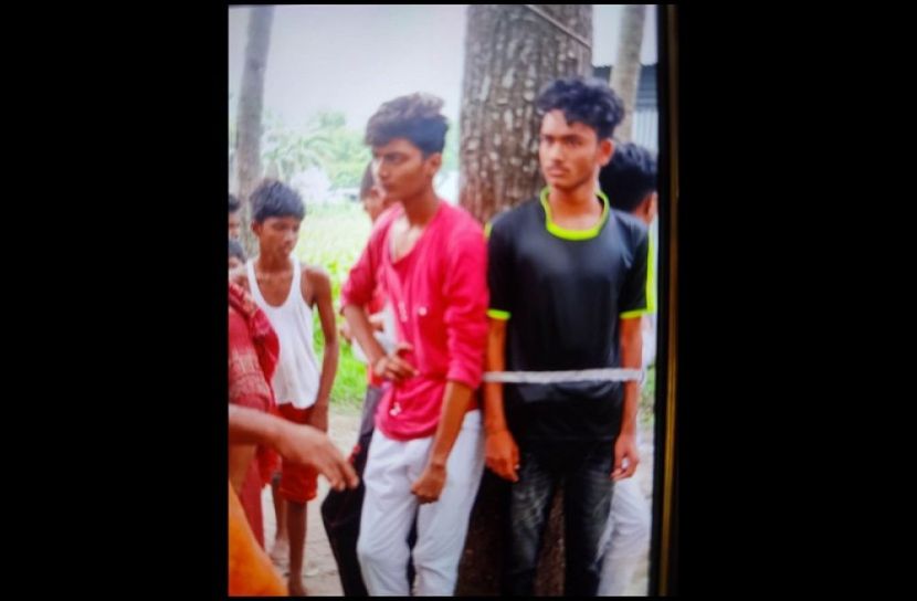 ছবি : সংগৃহিত