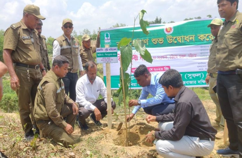 উখিয়ায় বিপন্ন প্রজাতির চারা রোপণ কার্যক্রম উদ্বোধন