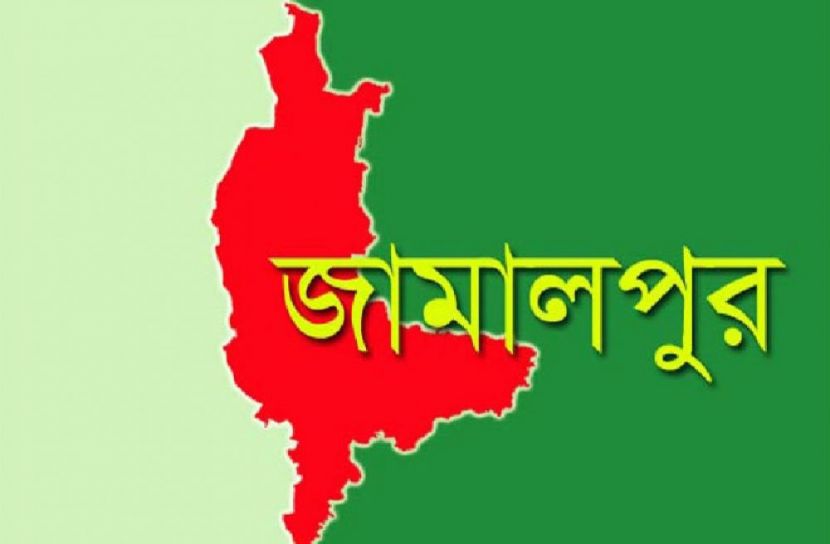 জামালপুরে কুকুরের কামড়ে ৪৪ জন হাসপাতালে