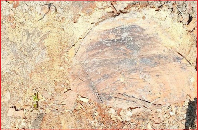 ছবি : সংগৃহিত