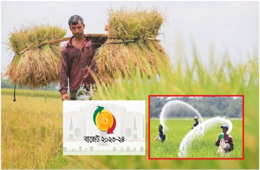 ছবি : সংগৃহিত