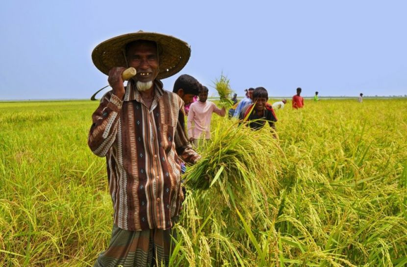 ছবি-সংগৃহীত