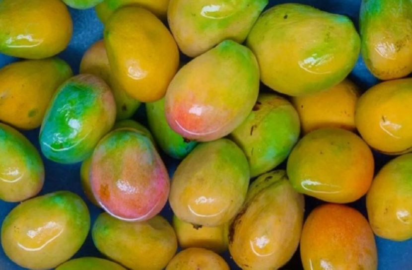 ছবি-সংগৃহীত