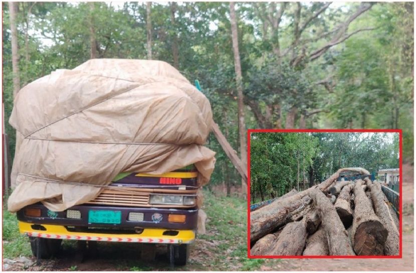 ছবি : সংগৃহিত