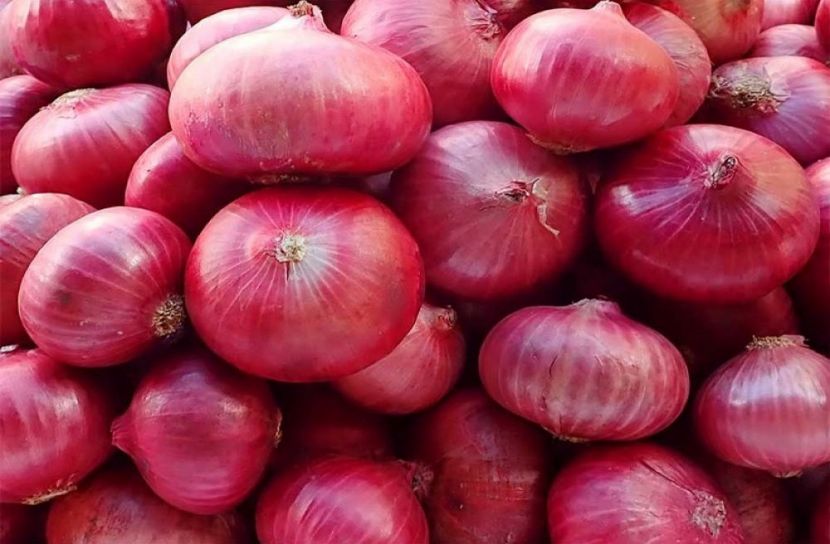 ছবি-সংগৃহীত