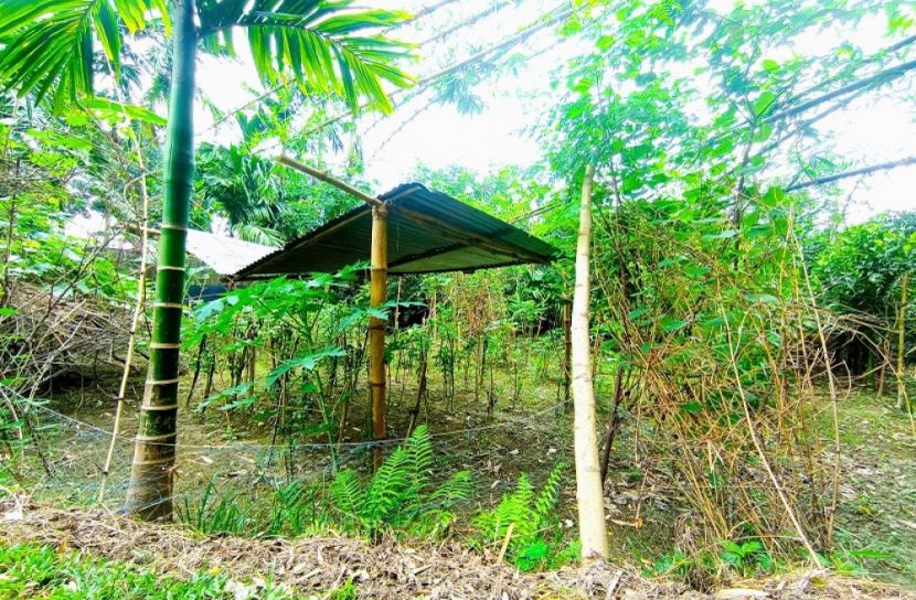 প্রতিপক্ষের আতঙ্কে দিন কাটছে গৃহবধূর