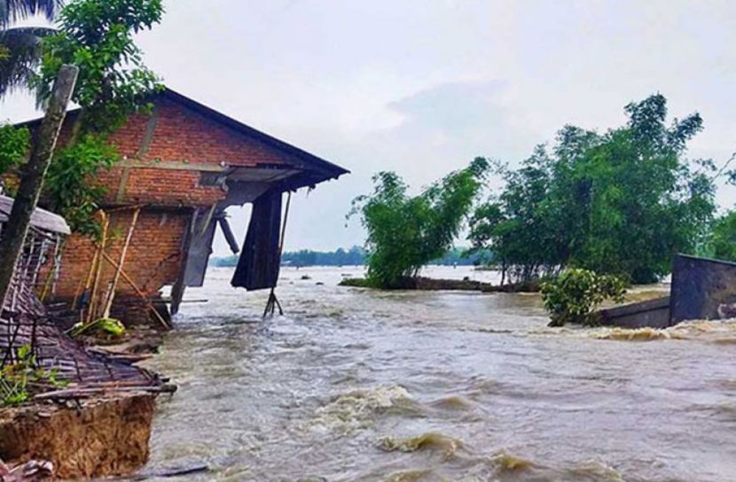 ফাইল ছবি