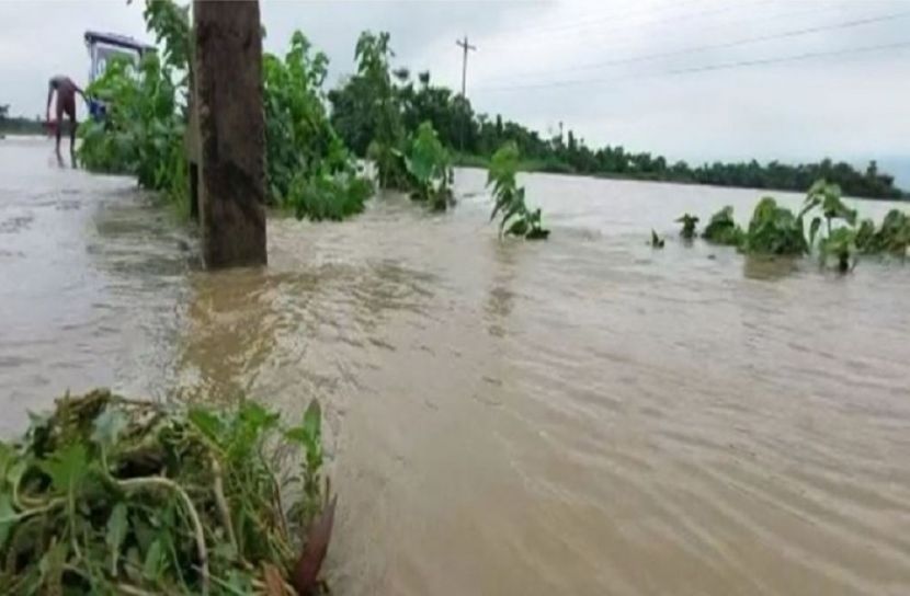 ছবি-সংগৃহীত