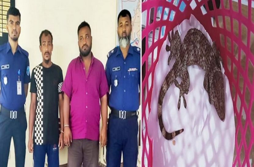 ছবি-সংগৃহীত