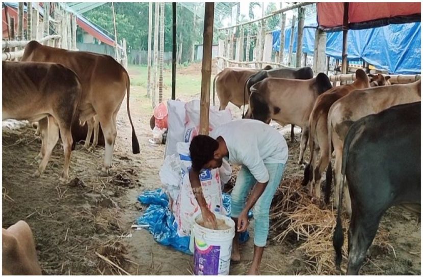 ছবি : সংগৃহিত