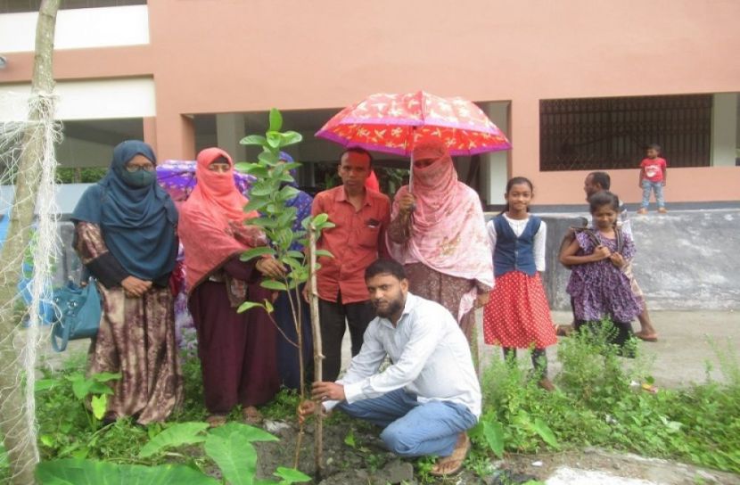 মনপুরায় বৃক্ষরোপণ কর্মসূচী পালন