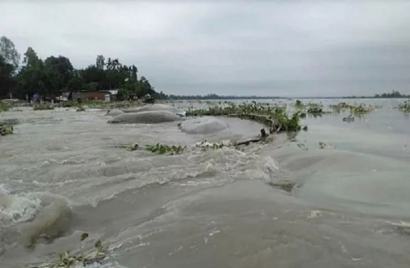 ছবি-সংগৃহীত