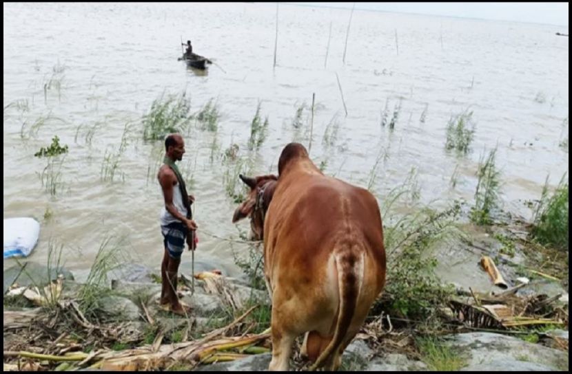ছবি-সংগৃহীত
