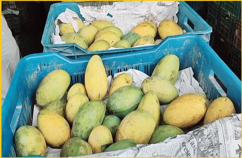 ছবি : সংগৃহিত