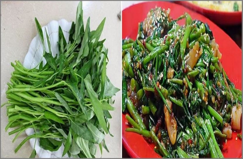 ছবি-সংগৃহীত