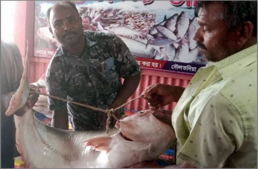 ছবি-সংগৃহীত
