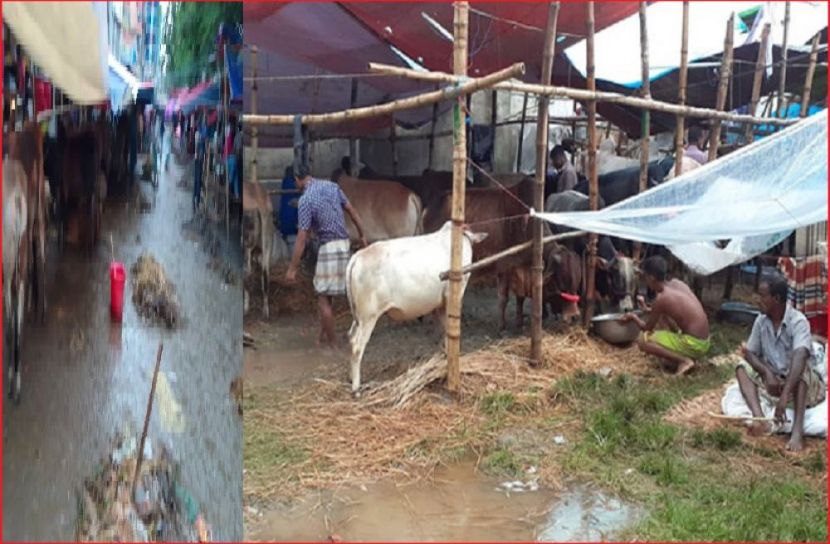 ছবি : সংগৃহিত