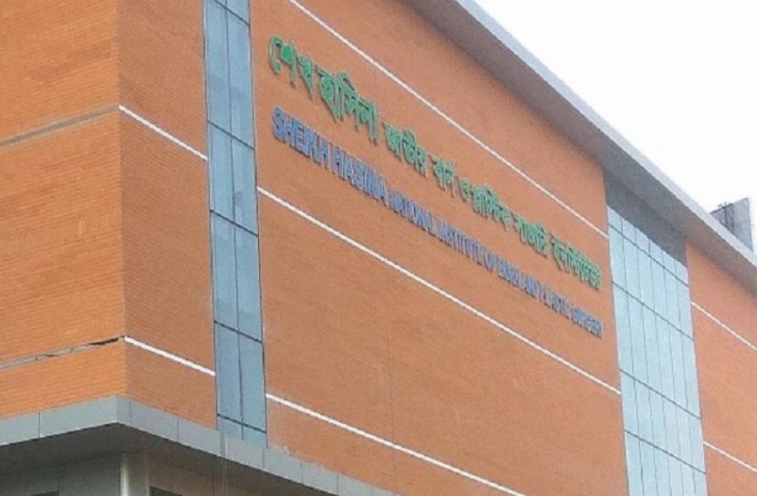 মায়ের পর চলে গেলেন দগ্ধ ছেলেও
