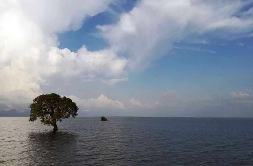 ছবি-সংগৃহীত