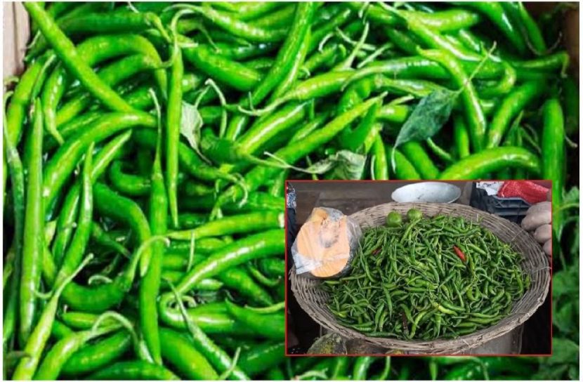 ছবি : সংগৃহিত