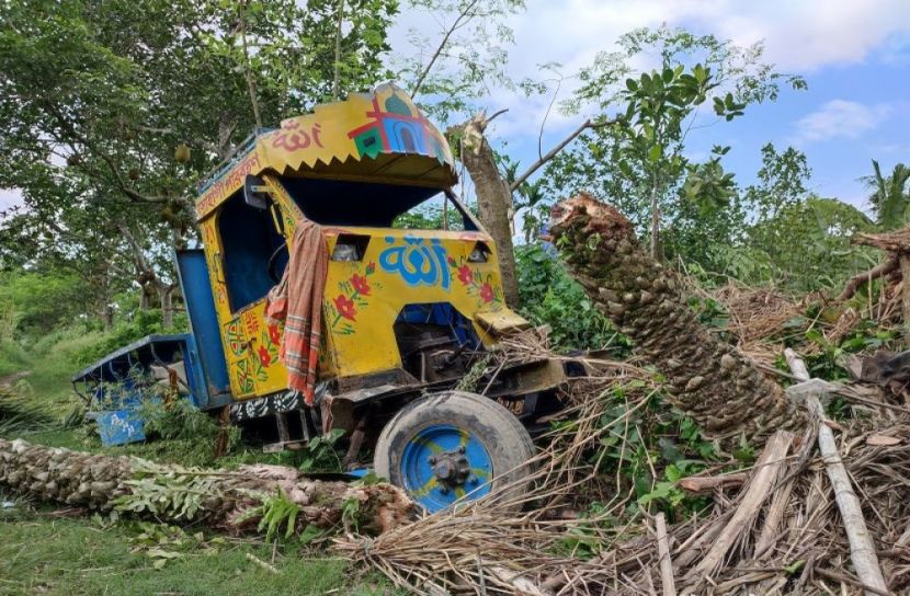 ছবি-সংগৃহীত