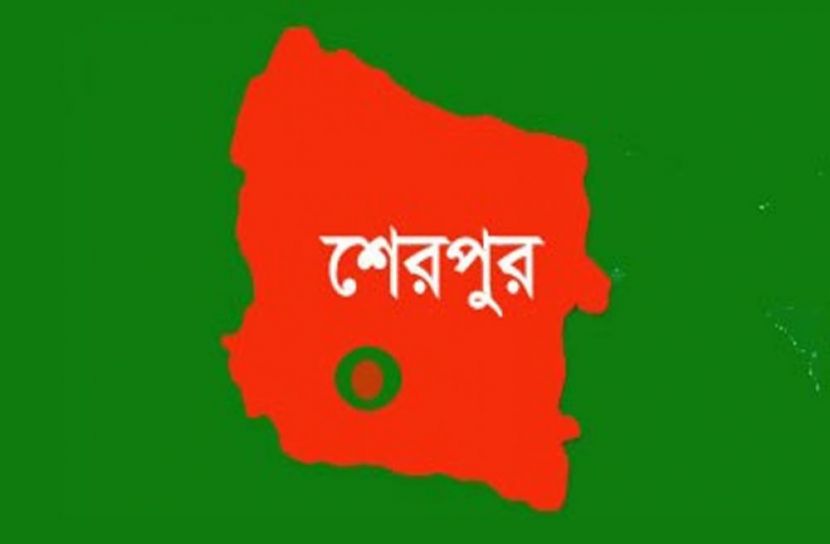 ফাইল ছবি