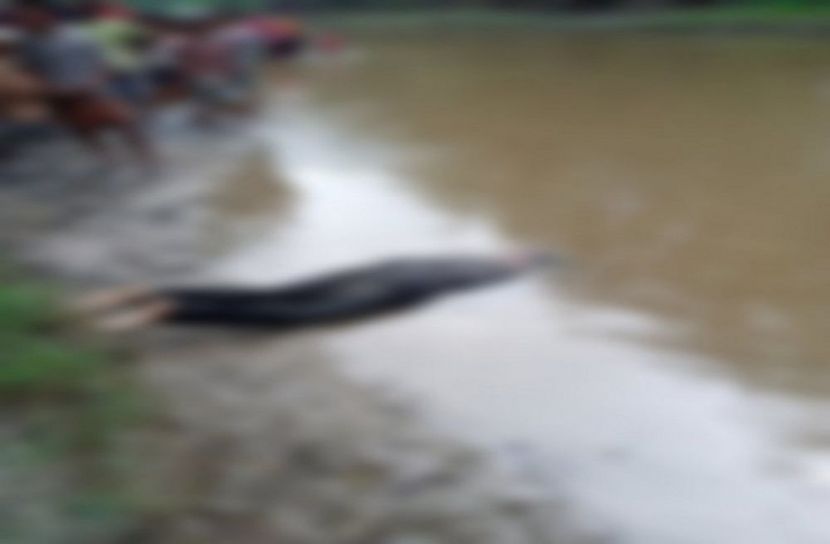 খালে মিলল চালকের মরদেহ