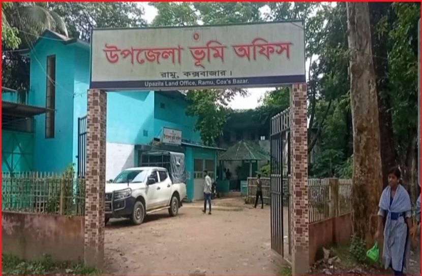 ছবি : সংগৃহিত