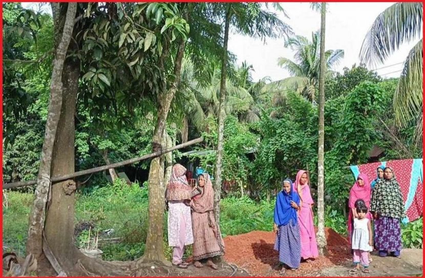 ছবি : সংগৃহিত
