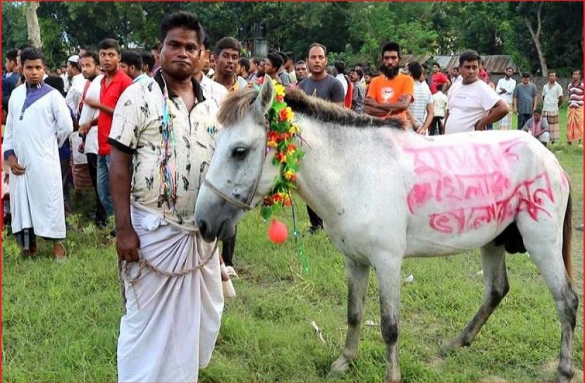 ছবি : সংগৃহিত