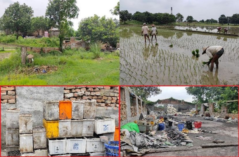 ছবি : সংগৃহিত