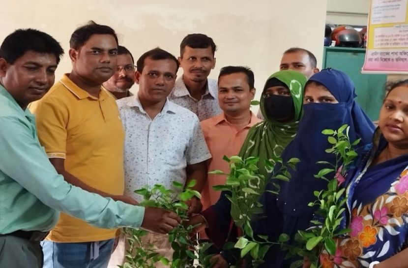 বাগেহাট