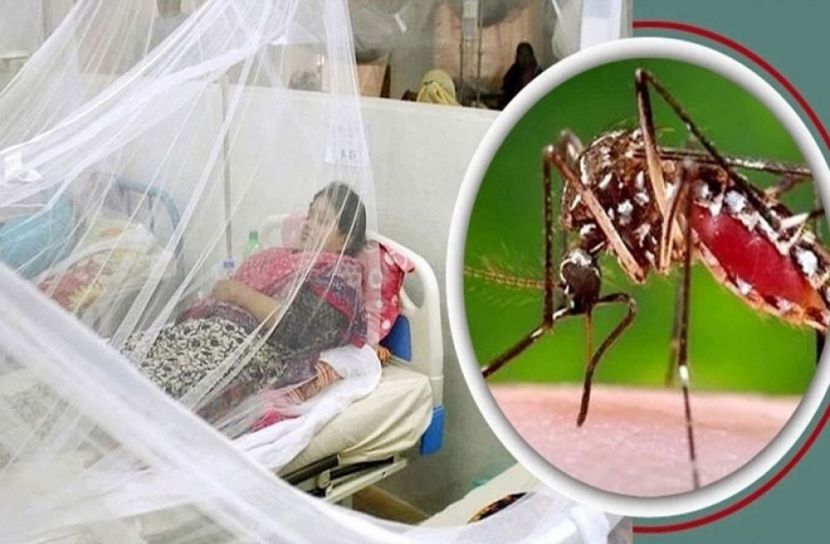 ছবি-সংগৃহীত