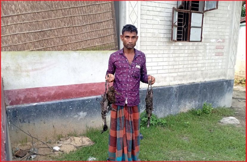 ছবি : সংগৃহিত