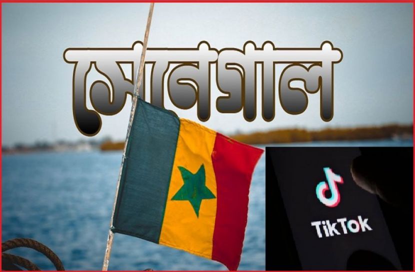 ছবি : সংগৃহিত