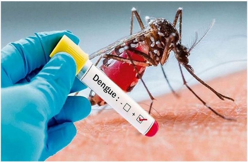 ফাইল ফটো