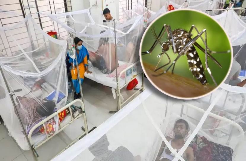 প্রতীকী ছবি