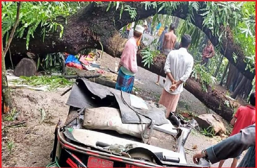 সংগৃহীত