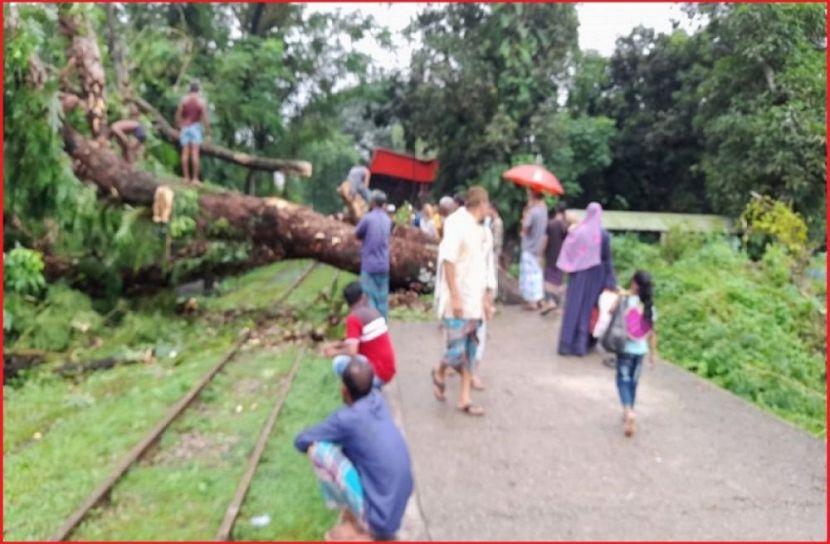 ছবি : সংগৃহিত