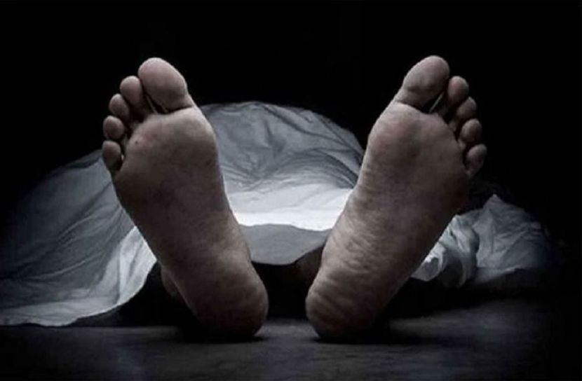 ছবি-সংগৃহীত