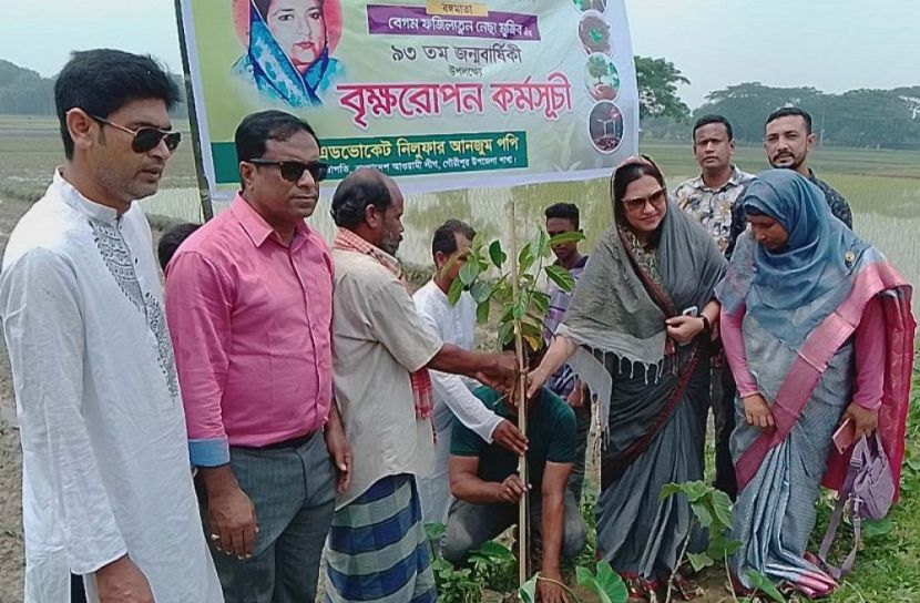 বঙ্গমাতার জন্মবার্ষিকী উপলক্ষে বৃক্ষরোপণ