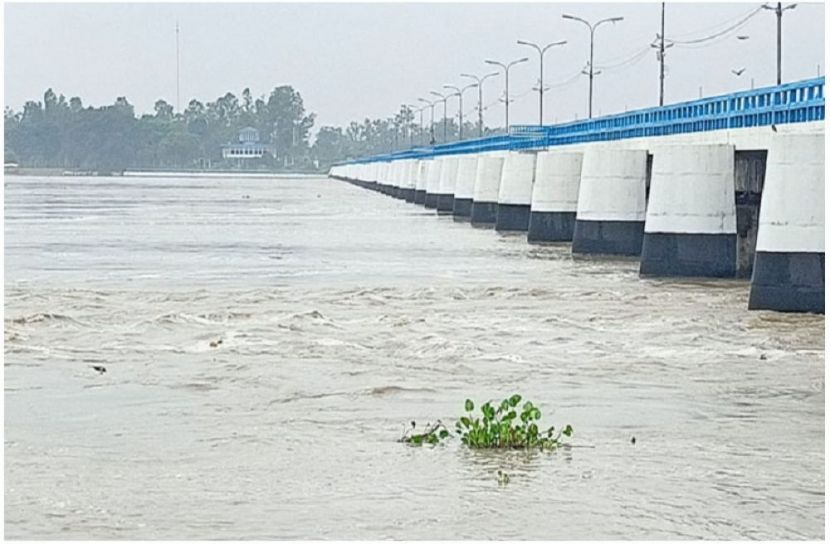 ছবি : সংগৃহিত