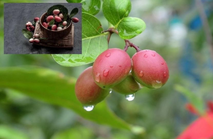 সংগৃহীত