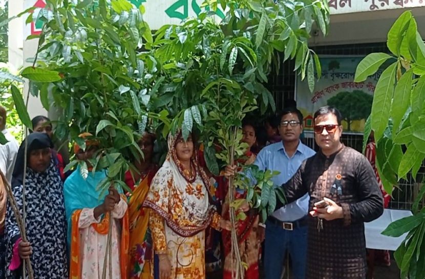 ঠাকুরগাঁওয়ে গাছের চারা বিতরণ