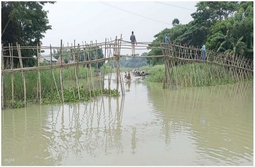 ছবি : সংগৃহিত