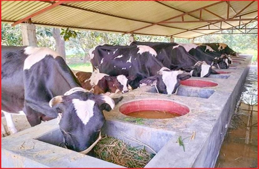 ছবি : সংগৃহিত