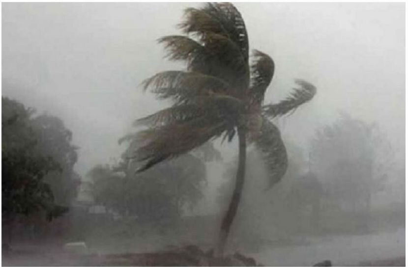 সংগৃহীত