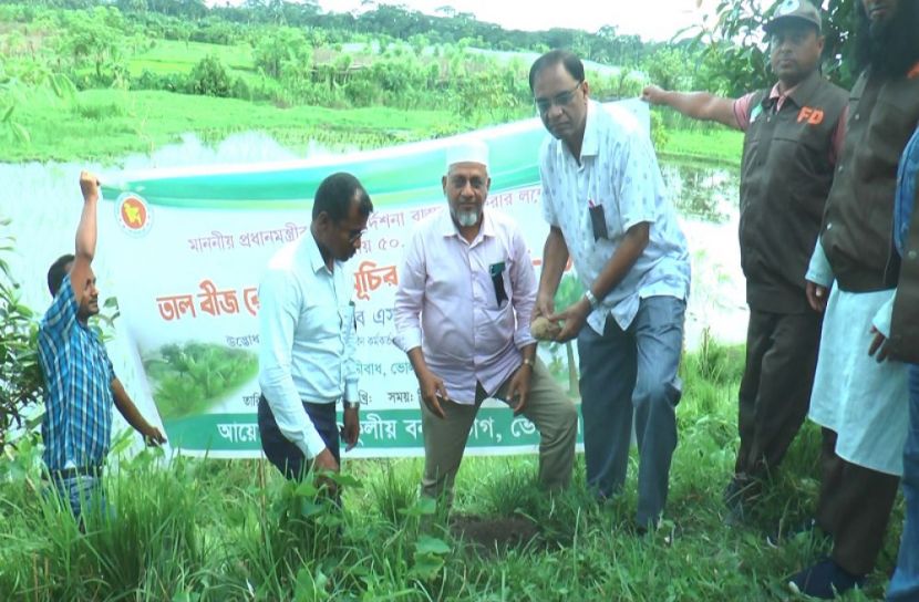 ভোলায় তাল বীজ রোপণ কর্মসূচির উদ্বোধন
