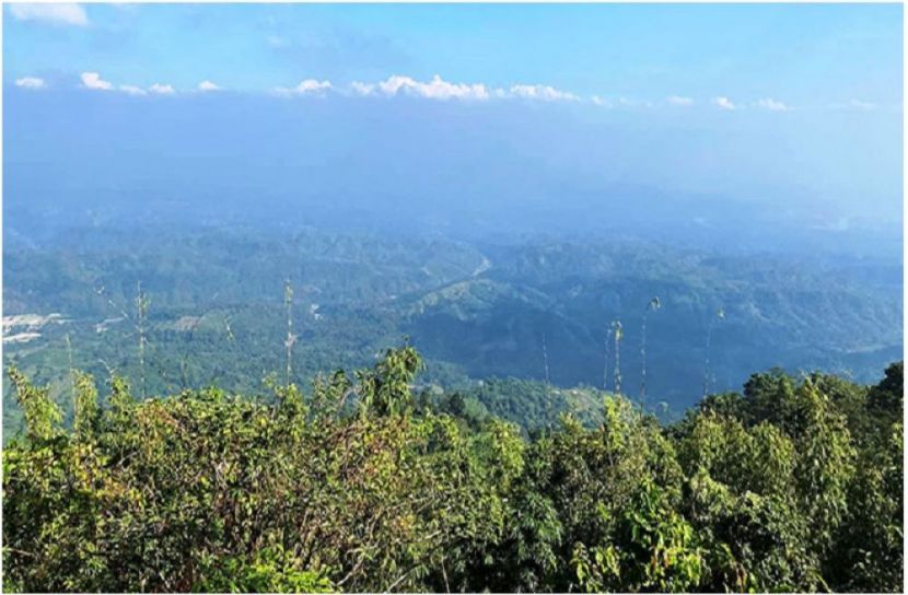 সংগৃহীত